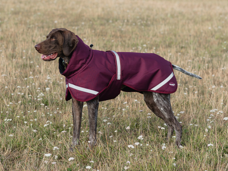 Luxe Waterproof Dog Coat 0g - Burgundy