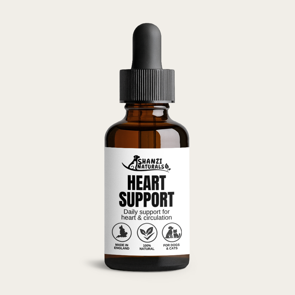 Heart & Cardio Support – Daily Herbal Support for Dogs & Cats