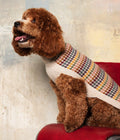 "Artesana" Handmade Alpaca Wool Dog Jumper