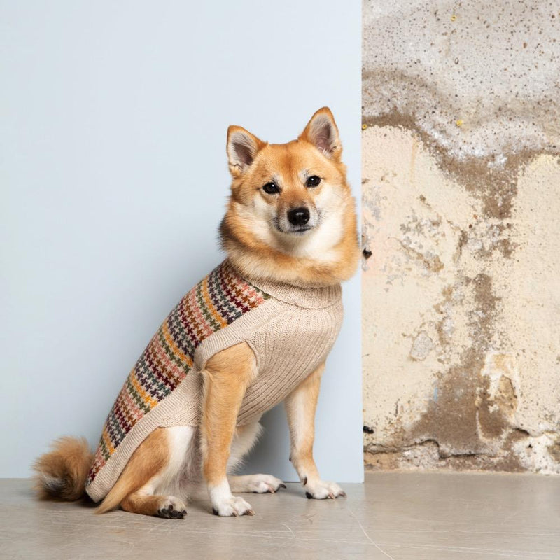 "Artesana" Handmade Alpaca Wool Dog Jumper