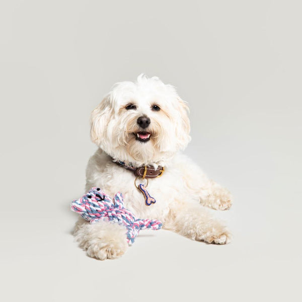 Baby Doll Cotton Rope Dog Toy