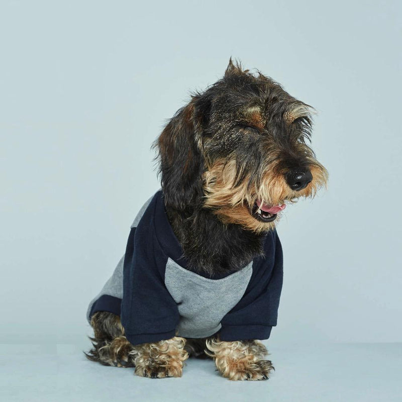 Blinky Jumper
