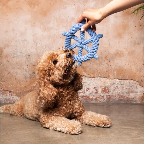 Captain's Wheel Cotton Rope Dog Toy