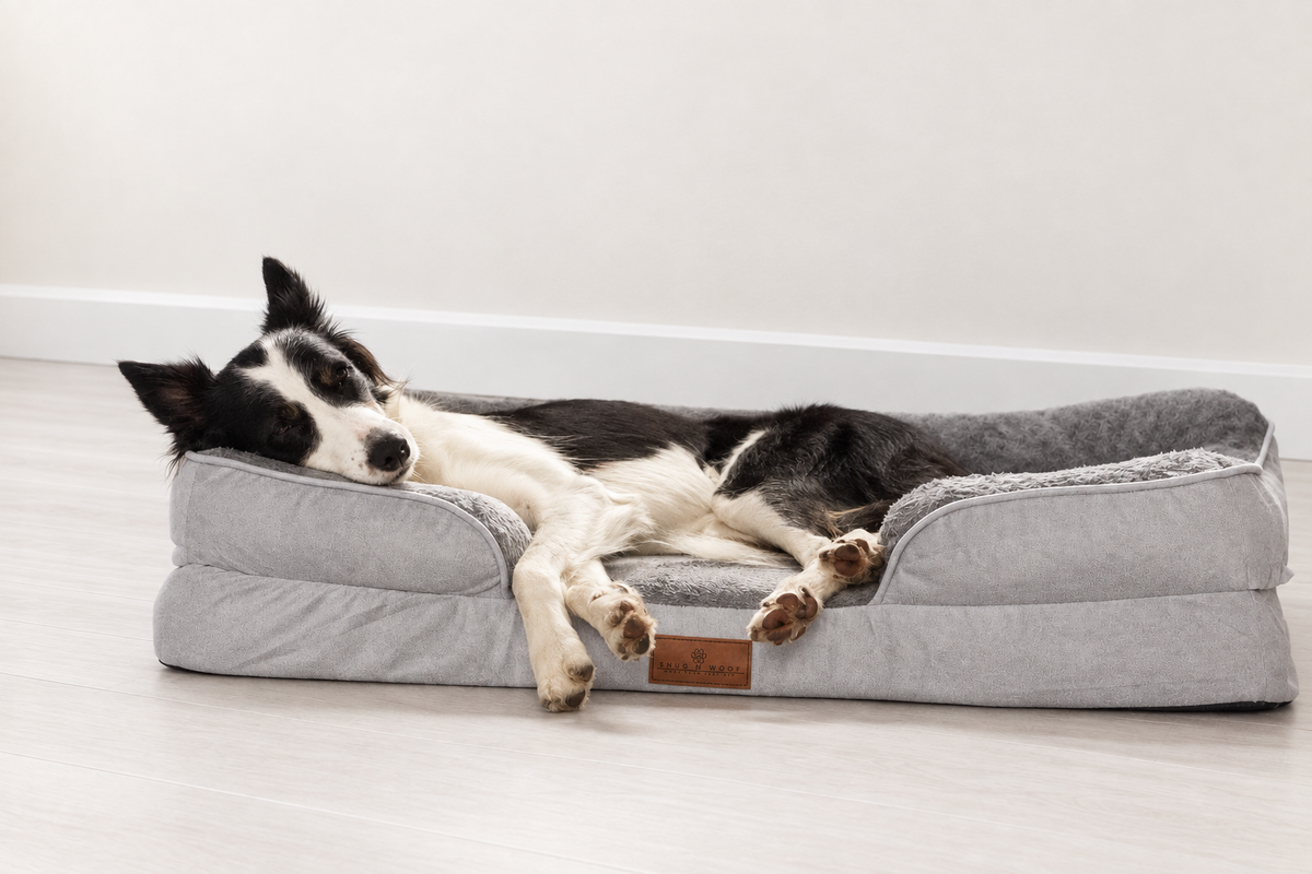 The Belgravia Orthopaedic Dog Sofa™
