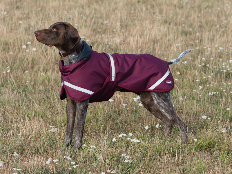 Luxe Waterproof Dog Coat 0g - Burgundy