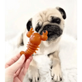 Carrot & Pumpkin Lobster Chew For Dogs