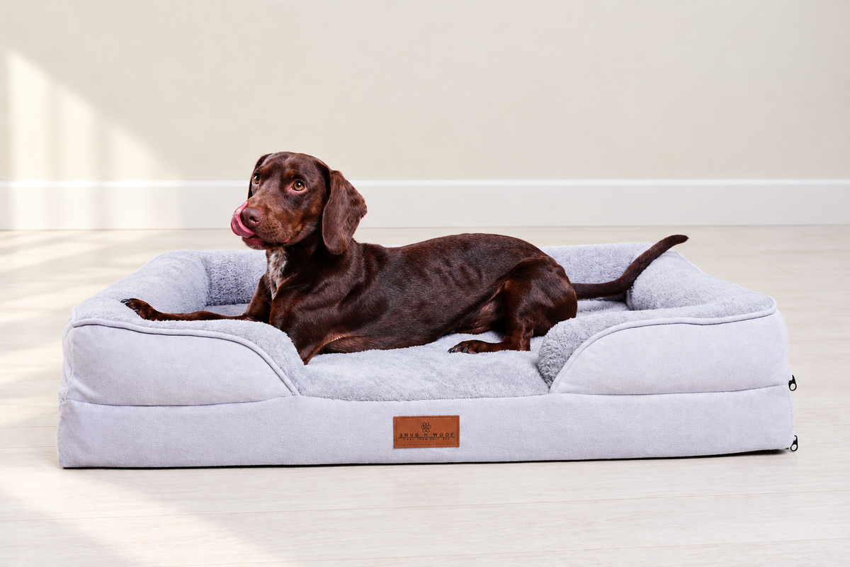 The Belgravia Orthopaedic Dog Sofa™