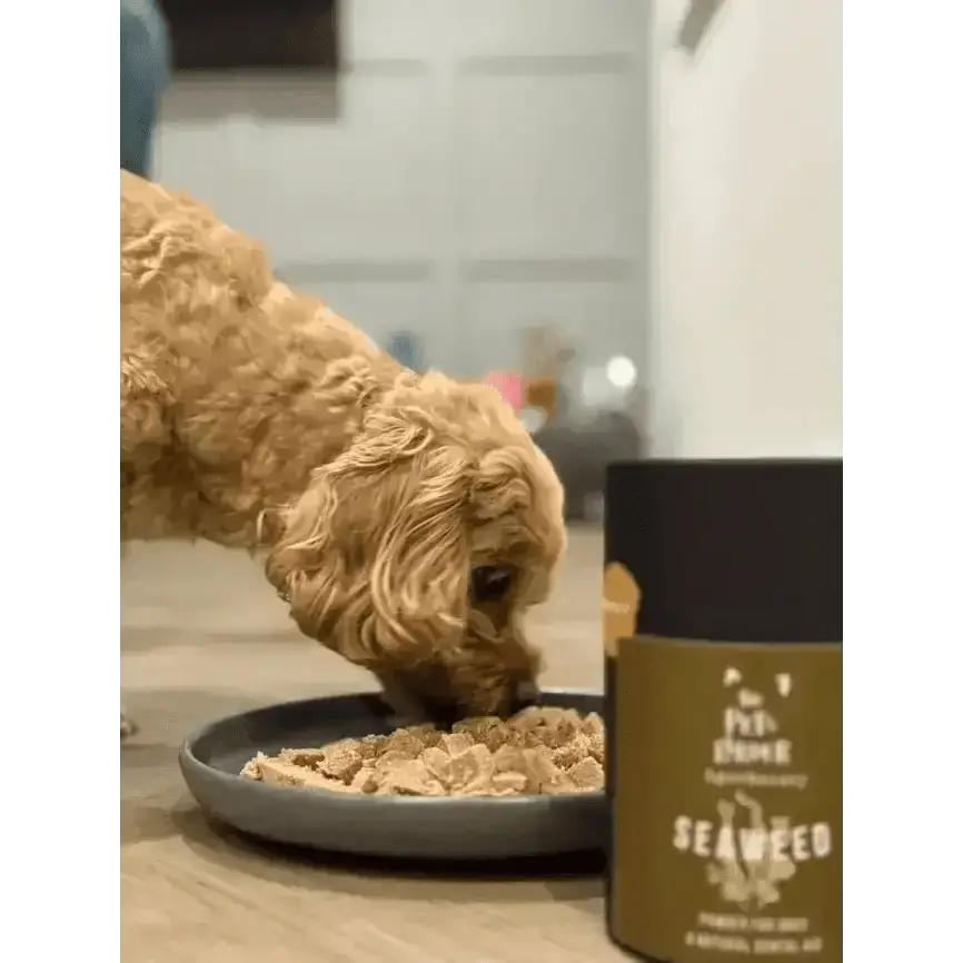 Dental Seaweed Powder for Dogs & Cats: Plaque Removal