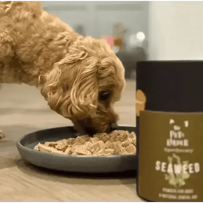 Dental Seaweed Powder for Dogs & Cats: Plaque Removal