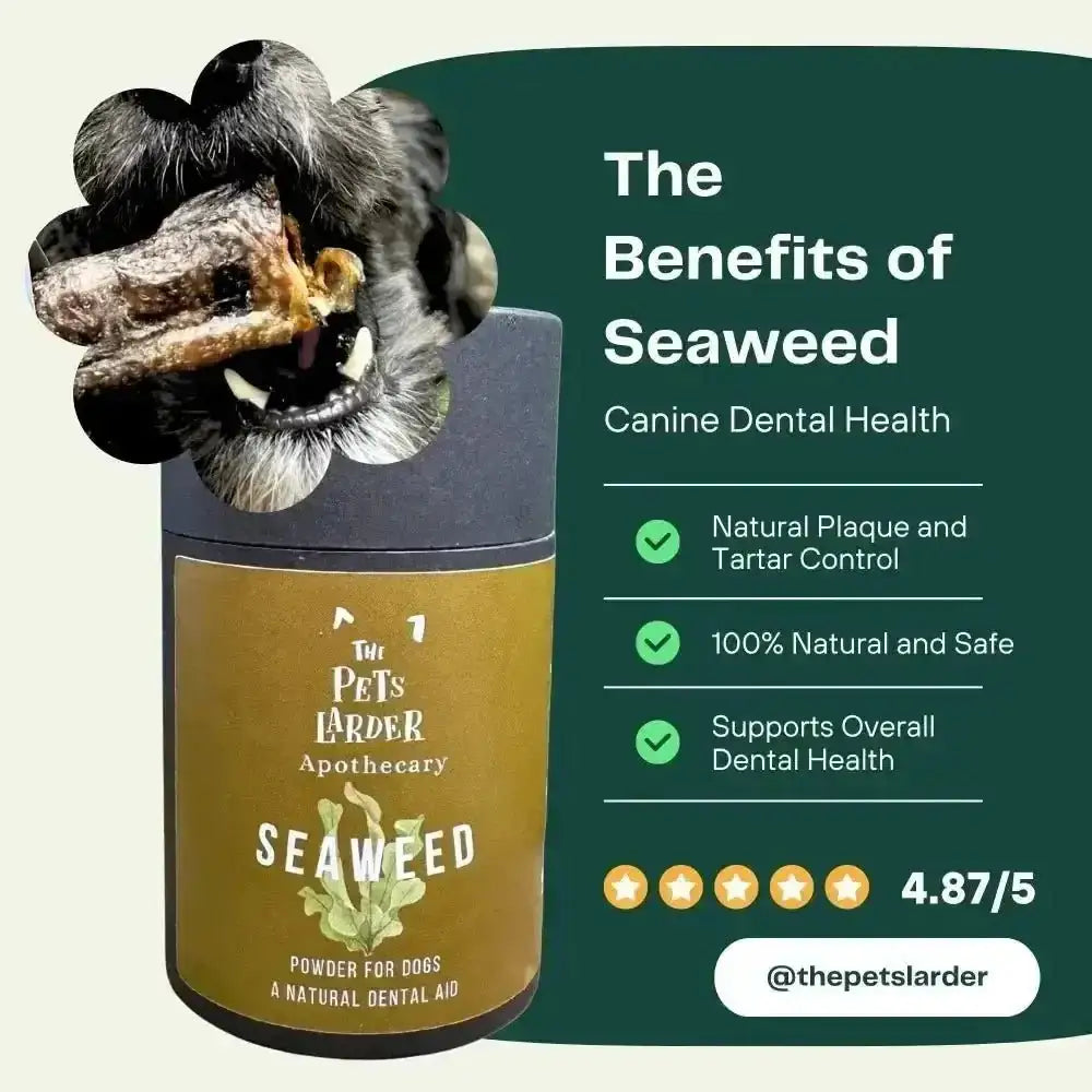 Dental Seaweed Powder for Dogs & Cats: Plaque Removal
