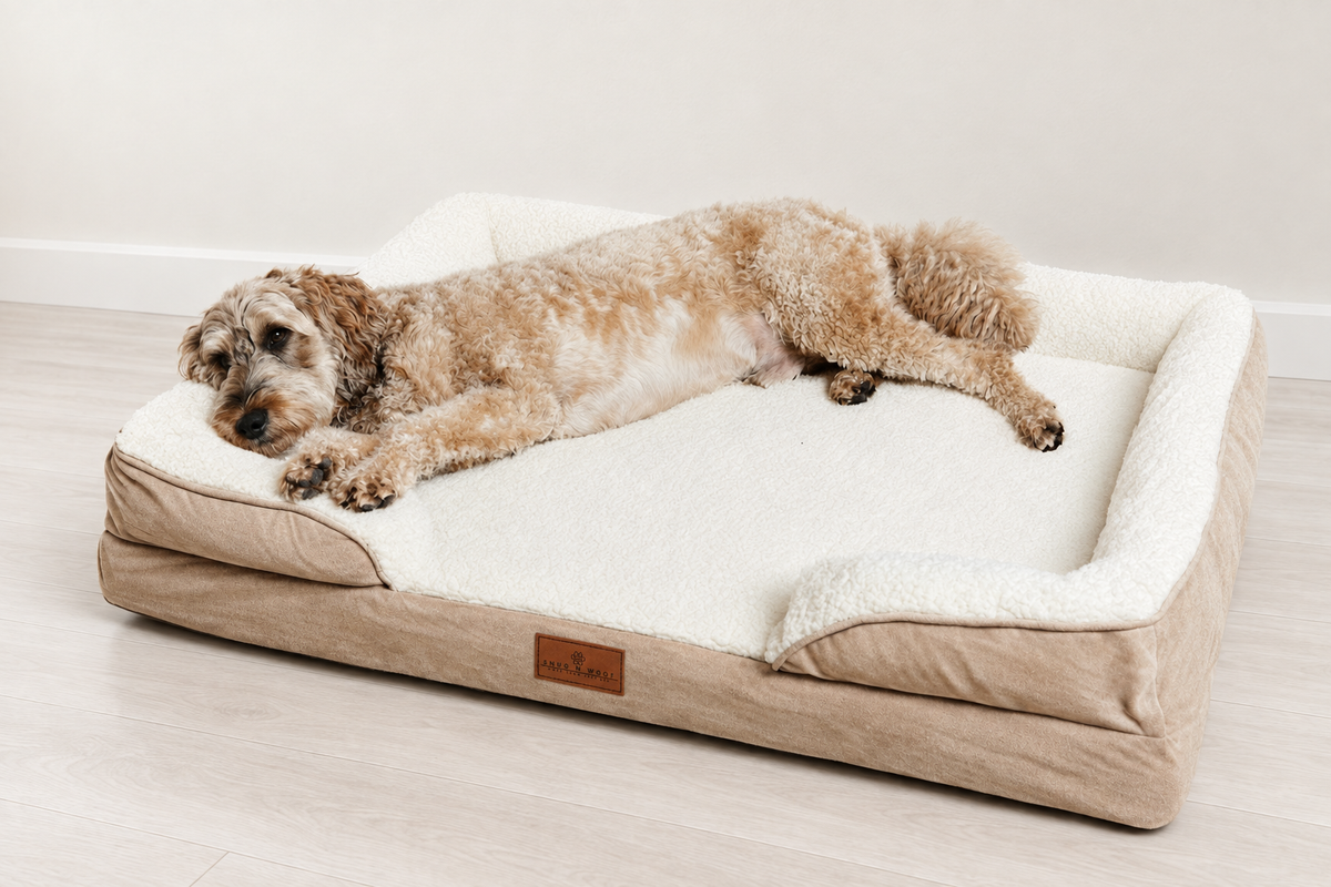 The Belgravia Orthopaedic Dog Sofa™