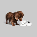 Dog Treats Jar