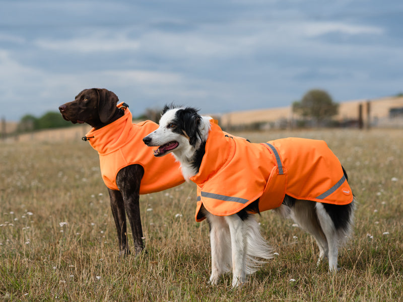 Luxe Waterproof Dog Coat 0g - Orange High Viz