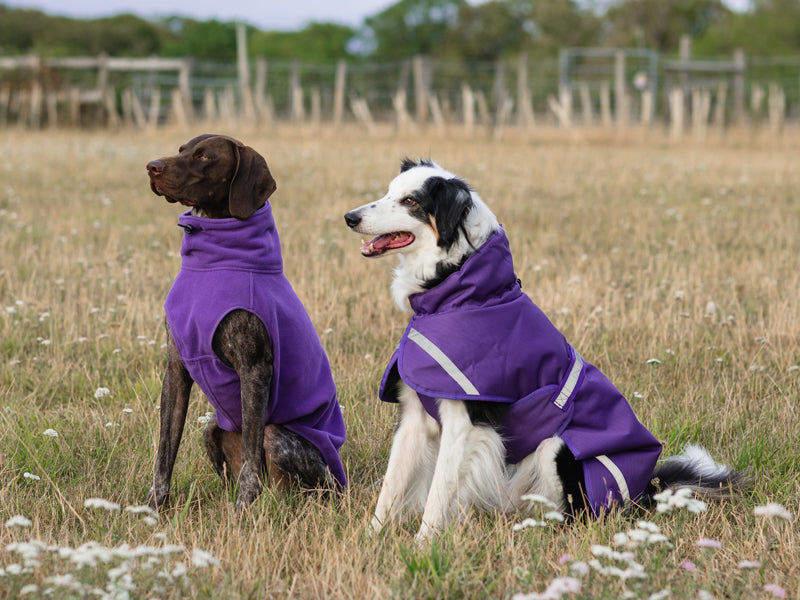 Fleece Dog Coat - Purple