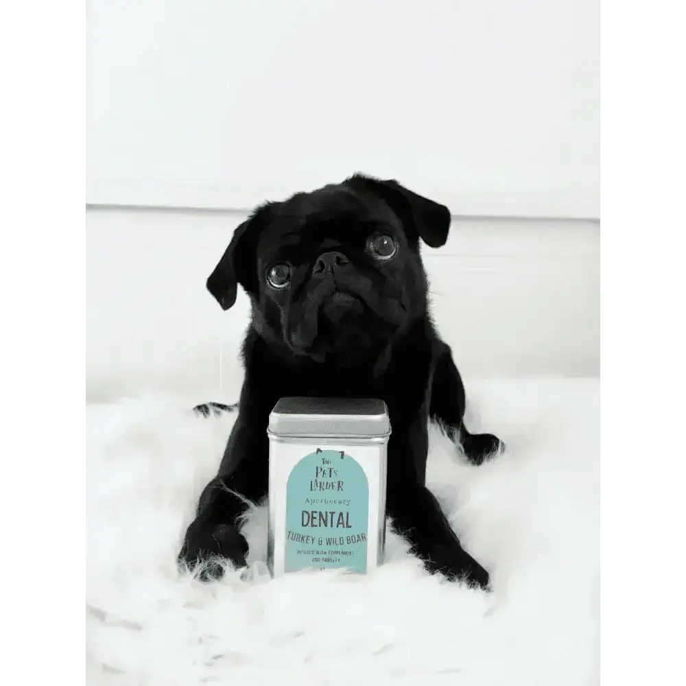 Fresh Turkey & Wild Boar Dental Cat & Dog Treats