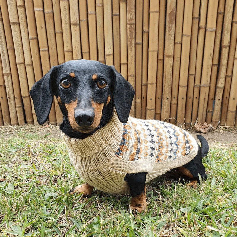 "Golden Dreams" Handmade Alpaca Wool Dog Jumper