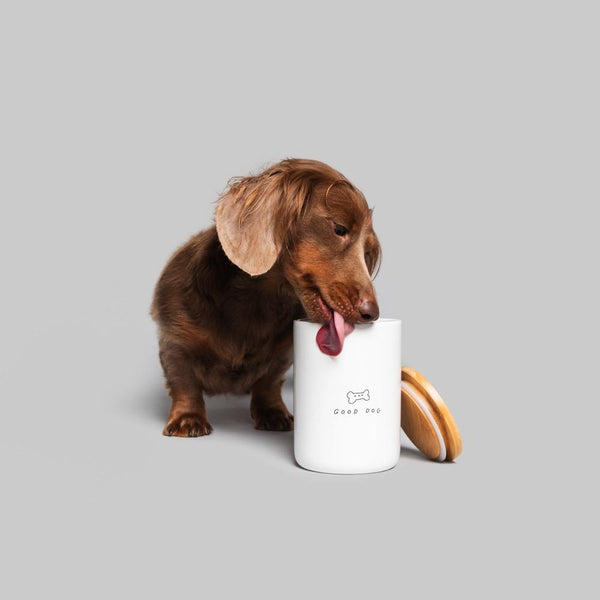 Good Dog Treats Jar