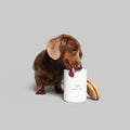 Good Dog Treats Jar
