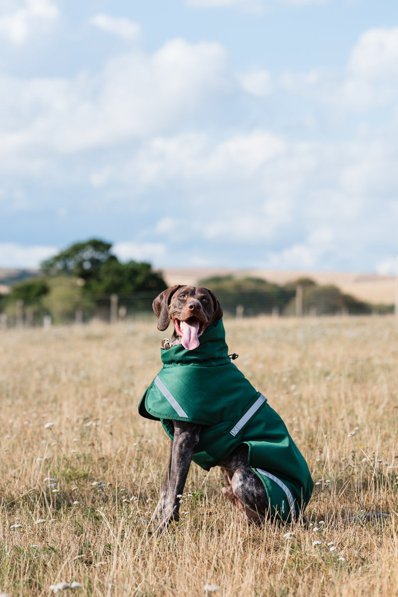 Luxe Waterproof Dog Coat 0g - Hunter Green