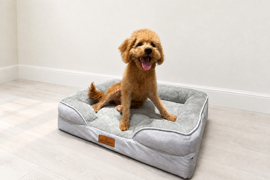 The Belgravia Orthopaedic Dog Sofa™