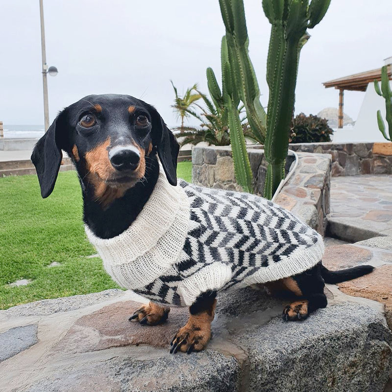 "Herringbone" Handmade Alpaca Wool Dog Jumper
