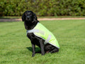Classic 240g Waterproof Dog Coat - High Viz Yellow