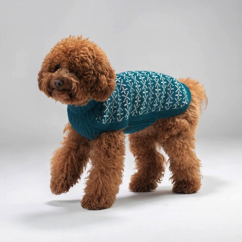 "Holiday" Handmade Alpaca Wool Dog Jumper