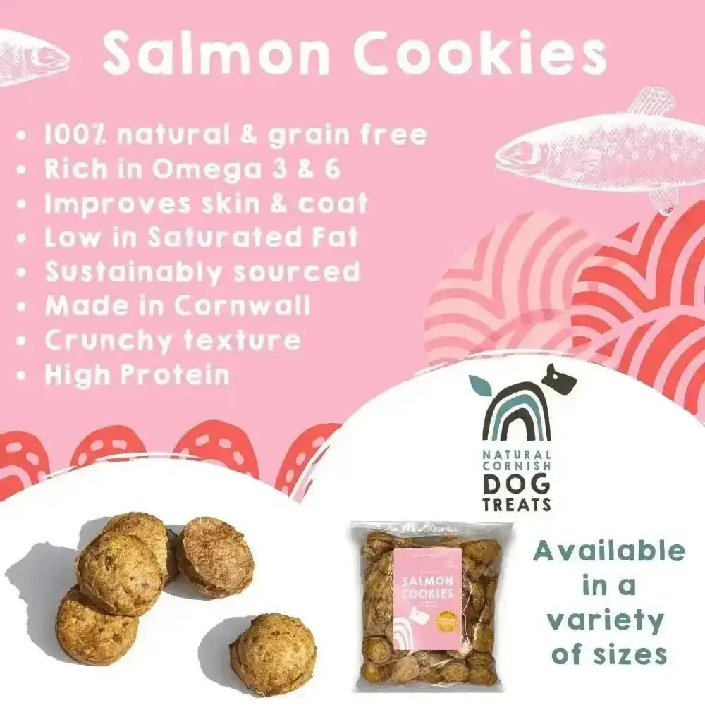 Natural Cornish Salmon & Potato Cookies
