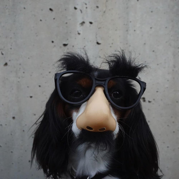 Nose Balm
