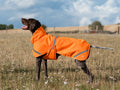 Luxe Waterproof Dog Coat 250g - Orange High Viz