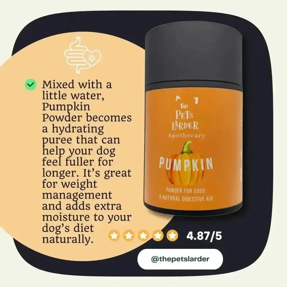 Pumpkin Powder for Dogs: Digestion Aid