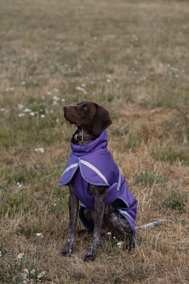 Luxe Waterproof Dog Coat 0g - Purple