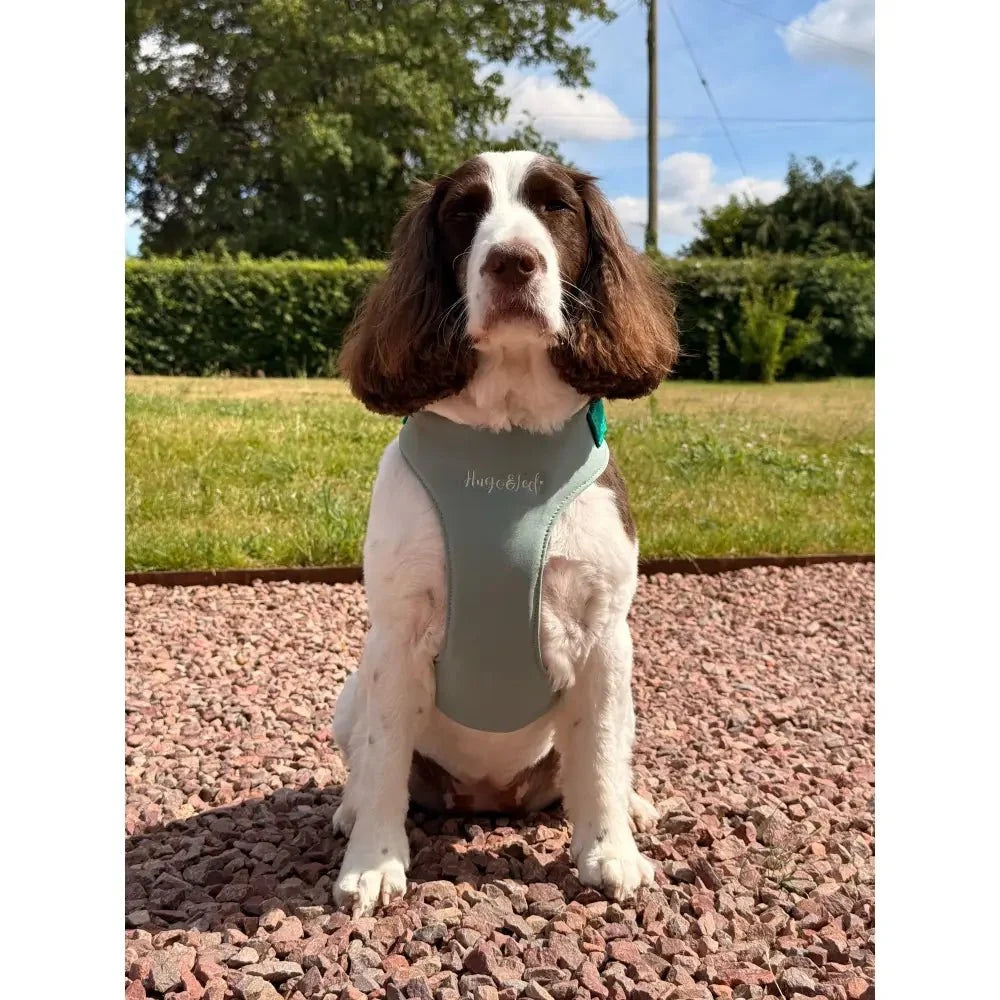 Standard Size Rainfleece Waterproof Step-In Dog Harness - Standard Sizes, Ready Made