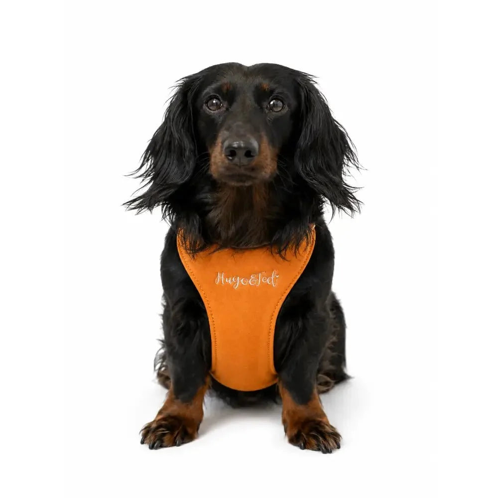 Standard Size Rainfleece Waterproof Step-In Dog Harness - Standard Sizes, Ready Made