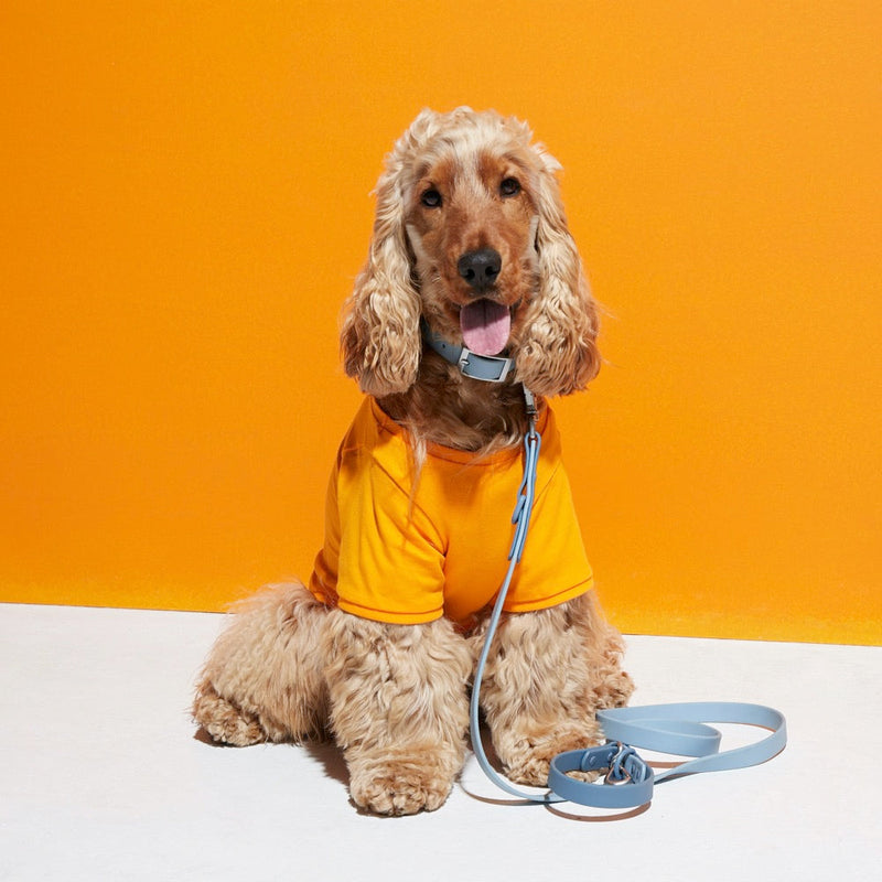 Rose Wylie Collar - Hypoallergenic
