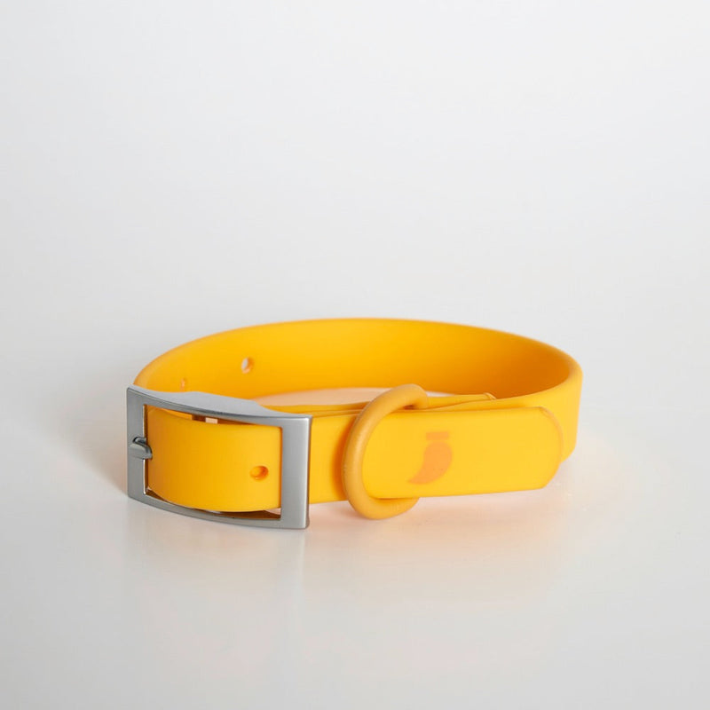 Rose Wylie Collar - Hypoallergenic