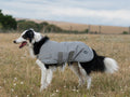 Classic Waterproof Dog Coat 150g - Reflective Silver