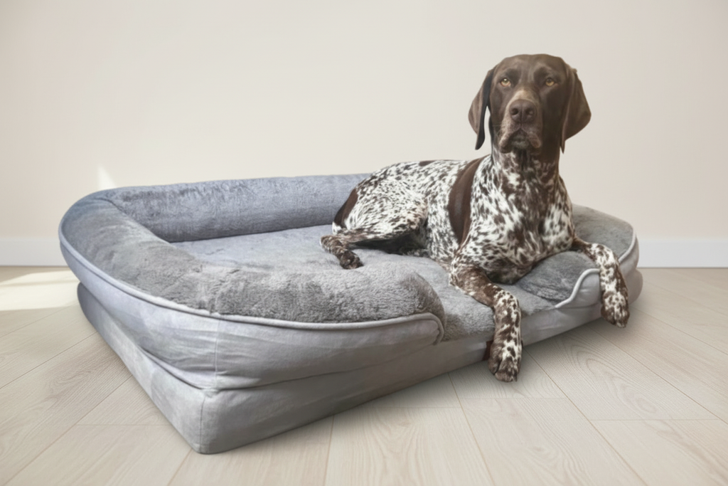 The Belgravia Orthopaedic Dog Sofa™