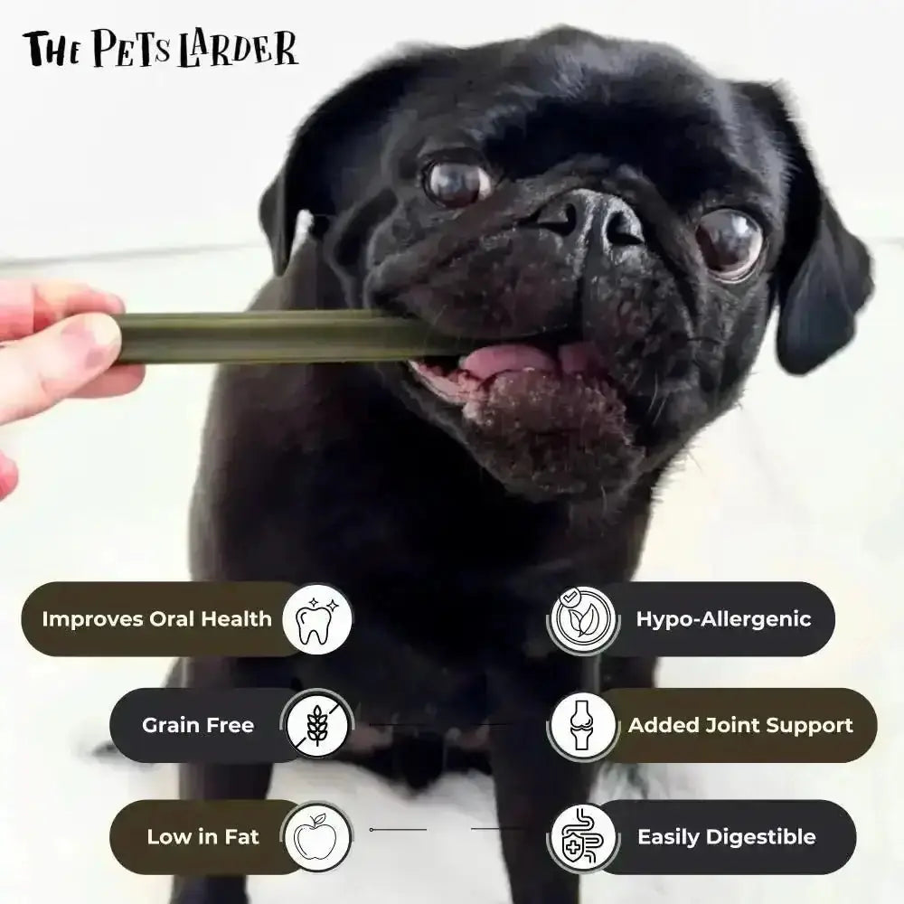 Spinach & Cranberry Chew Stick Vegetable Chew For Dogs