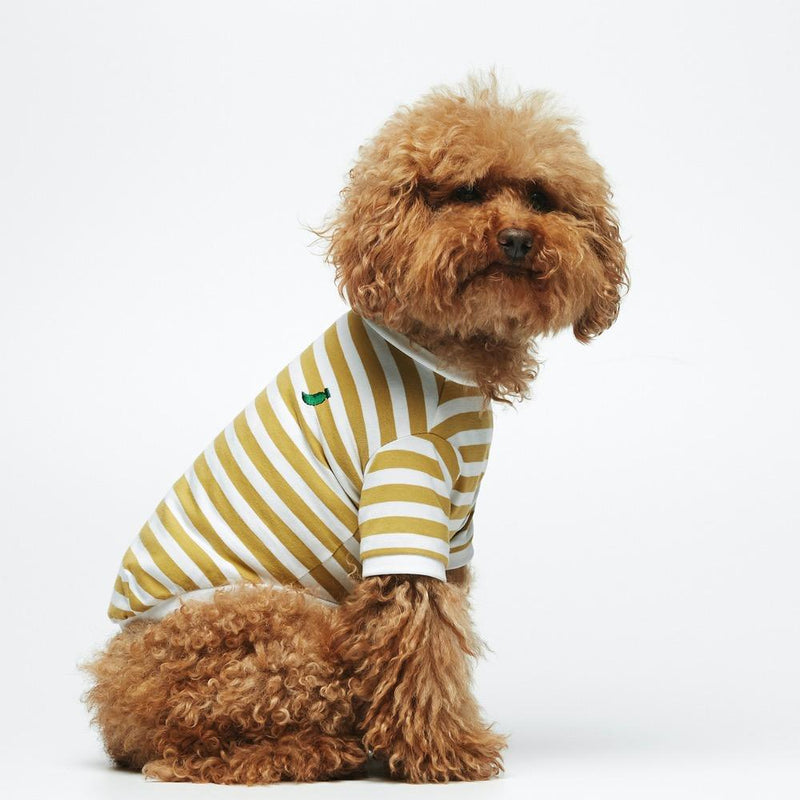 Striped T-Shirt - Portuguese Cotton