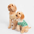 Striped T-Shirt - Portuguese Cotton