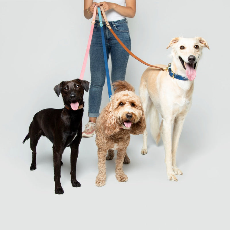 Timeless Dog City Lead - Handmade Leather