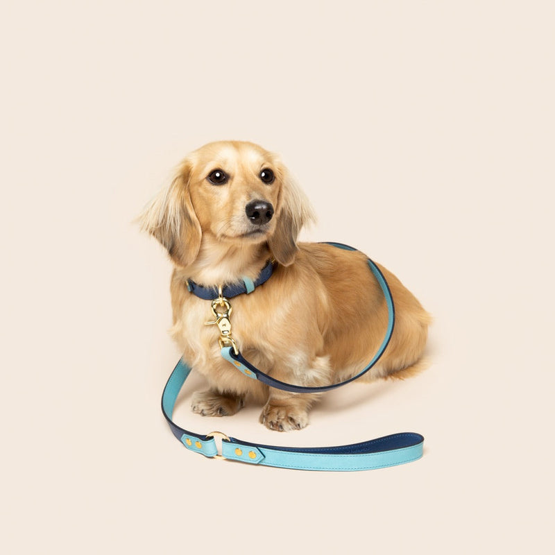Timeless Dog City Lead - Handmade Leather