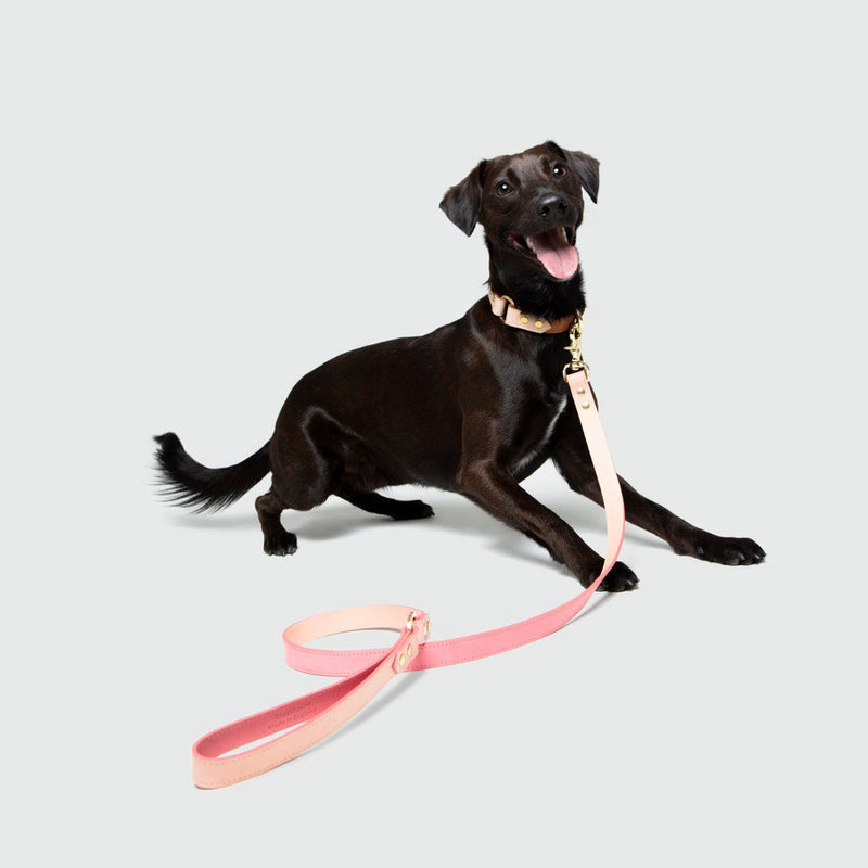 Timeless Dog City Lead - Handmade Leather