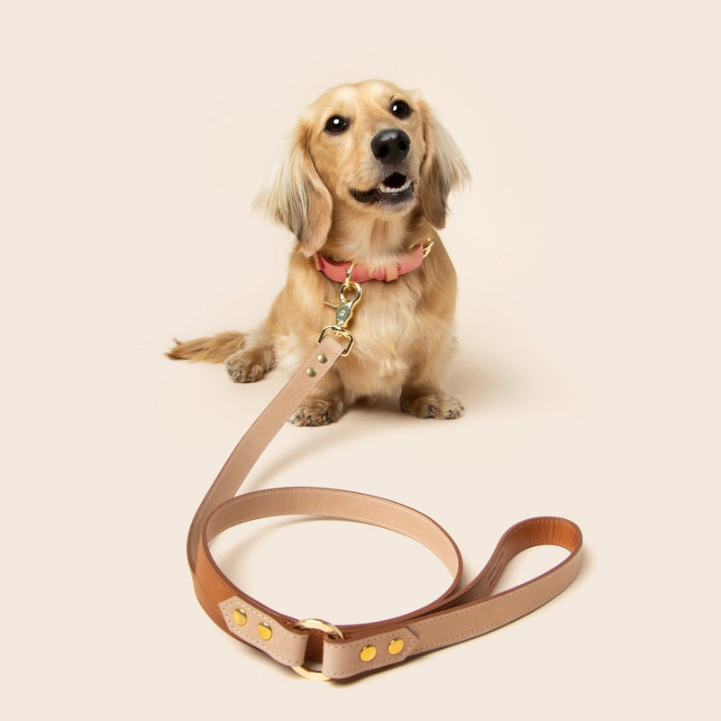 Timeless Dog City Lead - Handmade Leather
