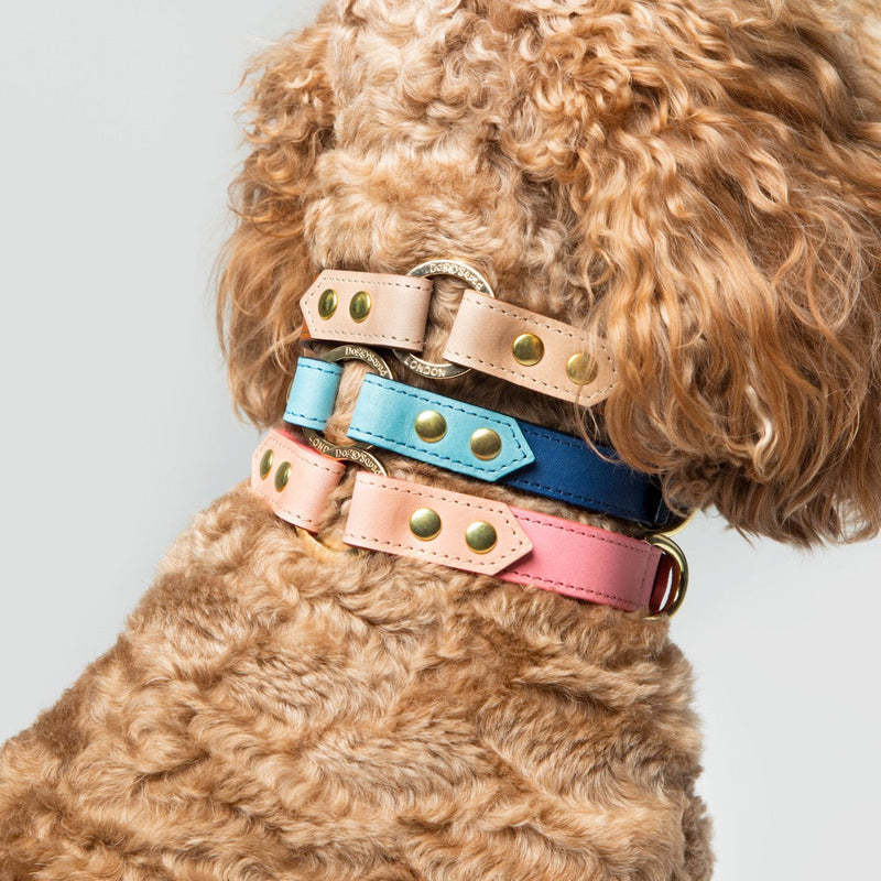 Timeless Handmade Leather Dog Collar