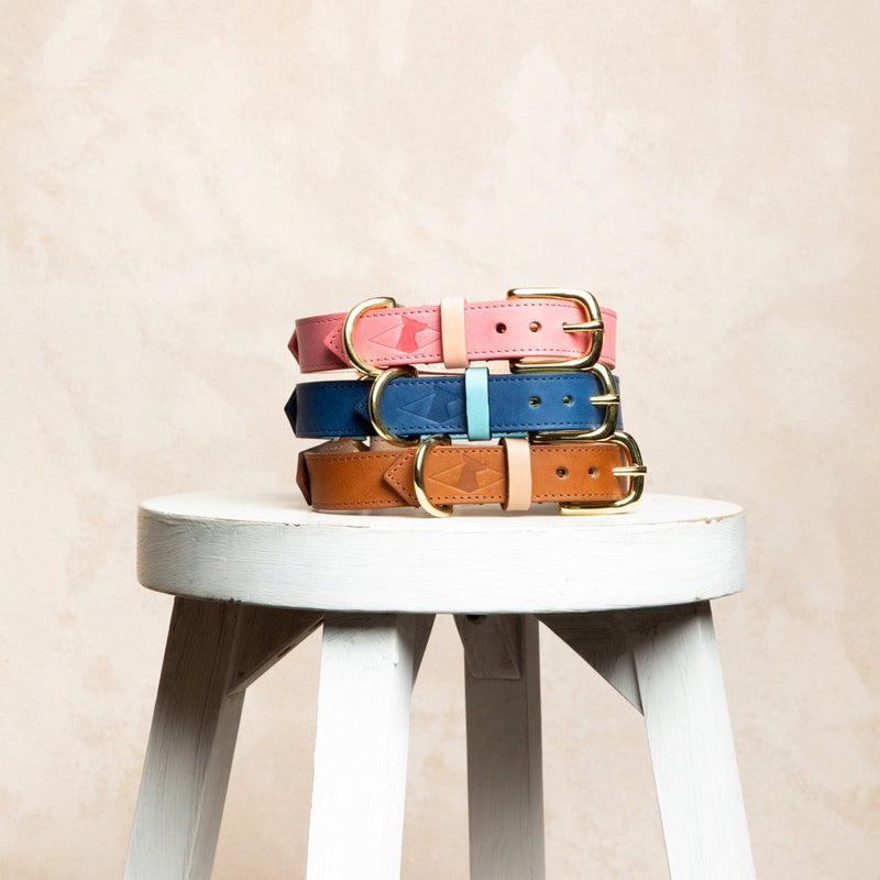 Timeless Handmade Leather Dog Collar