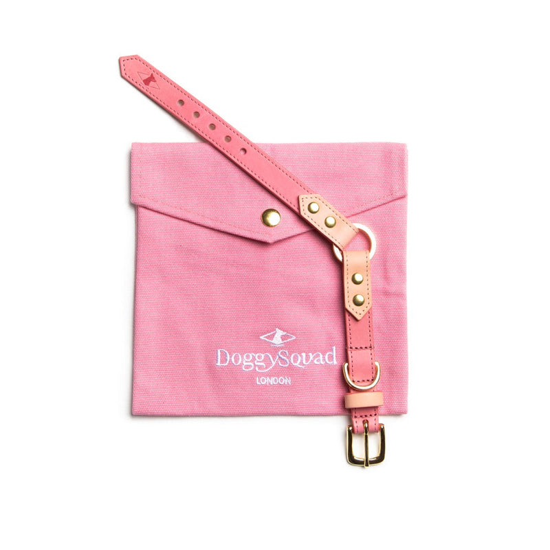 Timeless Handmade Leather Dog Collar