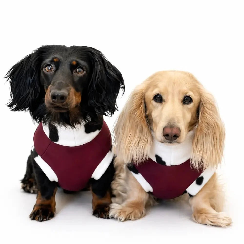 Waterproof Rainfleece Dog Coat - Standard Sizes, Ready Made